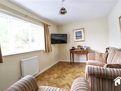 Picture 14